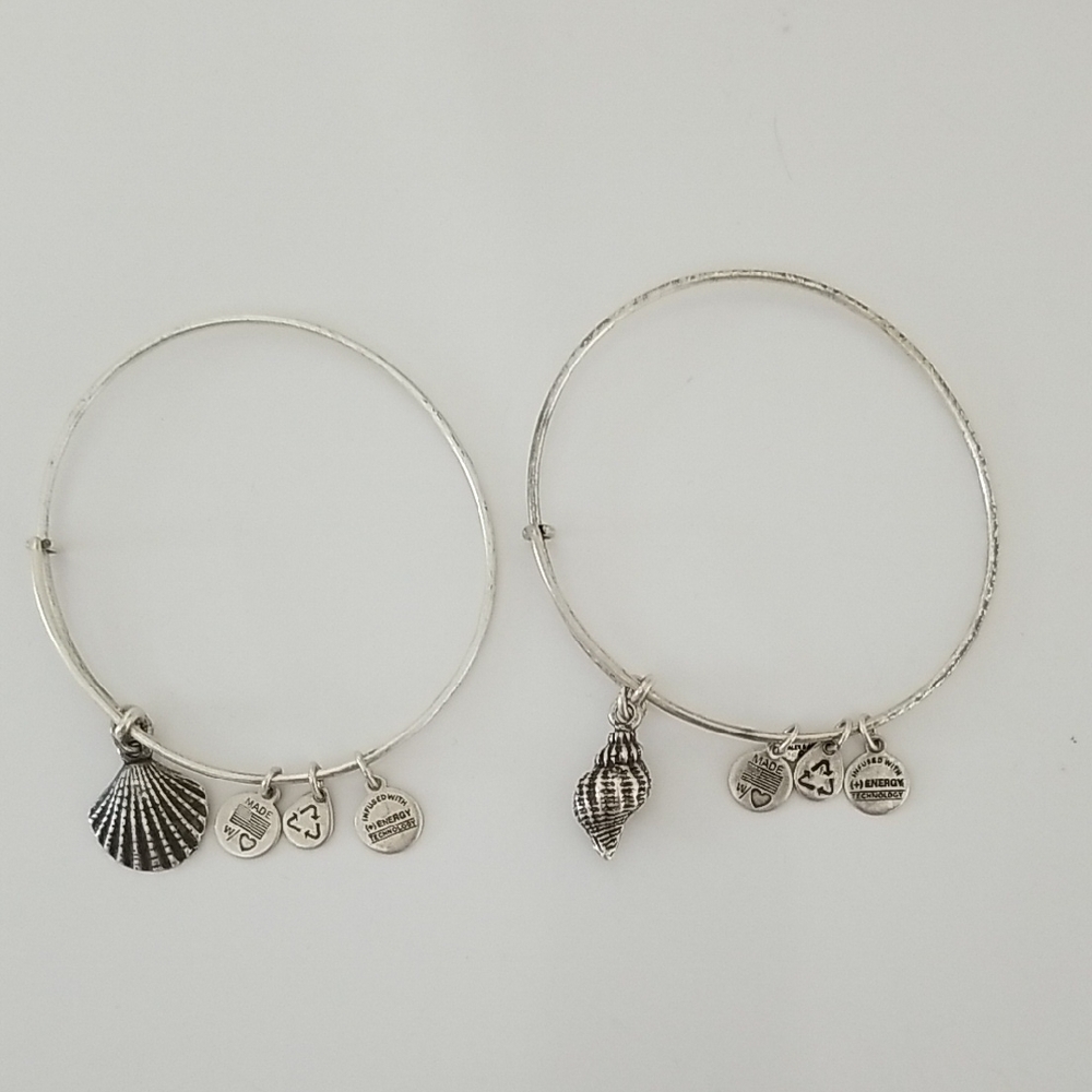 SET OF TWO Alex and Ani Silver Charm Bracelets Set